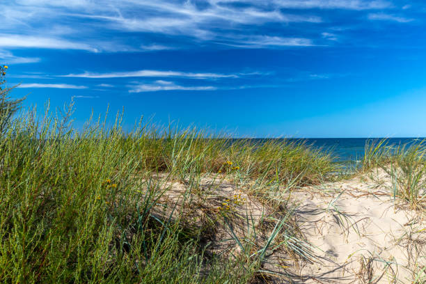 istock Tranquil Coastal Landscape with Blue Sky and Sunlight over Horizon 1720575418