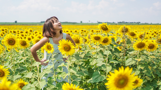 Cheerful woman with arms raised and enjoying with sunflower field. Asian woman with short hair in a field of sunflowers at clear sky. Portrait of a beautiful asian woman feeling happy and funny in the sunflower field.