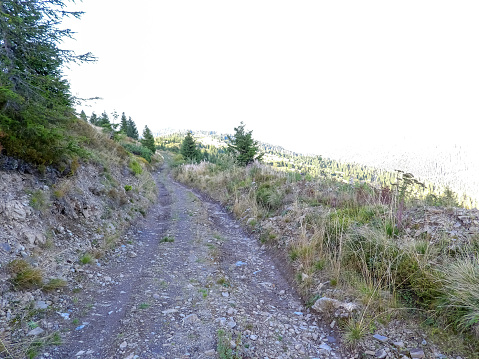 A picturesque road to the mountain top of the Ukrainian Carpathians