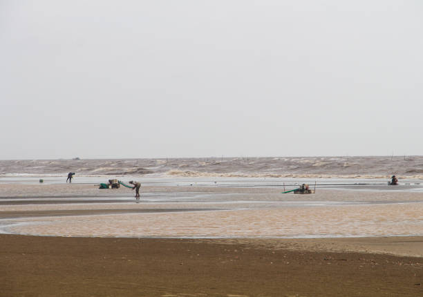 Ba Dong Beach is one of the famous tourist attractions that any tourist should not miss when coming to Tra Vinh. This place is known for its long sandy beaches with wild beauty. You can come here on weekends to swim, enjoy the fresh air and enjoy fresh seafood dishes.
