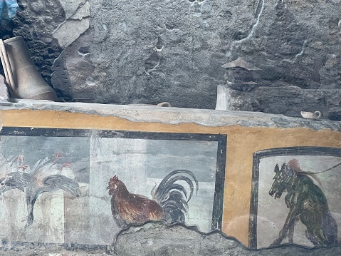 Pompeii, Campania, Italy. - November 24, 2021: A close up view of frescos on a recently discovered roman fast food counter, called a Thermopolium, that was buried in ash after the eruption of Mount Vesuvius in 79 AD. Discovered in 2019, it is one of the most complete food stalls found so far at Pompeii. The frescos of animals depict the types of food that were being sold at the shop. The food stall is open to the public to view and appreciate how romans used to live and eat in the streets of Pompeii.