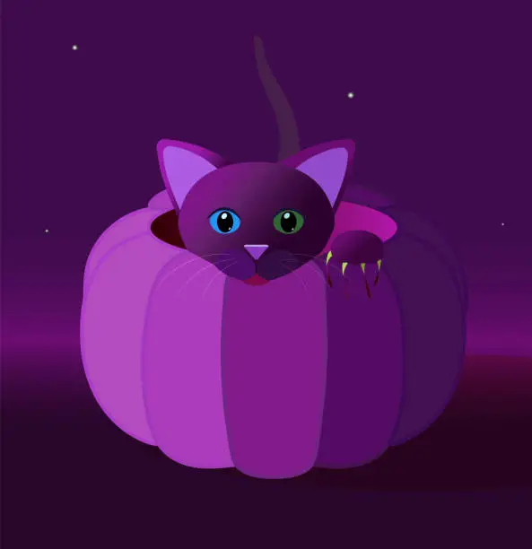 Vector illustration of Halloween. The cat is hiding in a pumpkin. Illustration, sticker