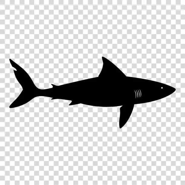 Vector illustration of Shark icon.