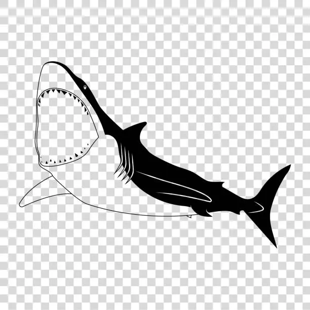 Vector illustration of Shark icon with open mouth.