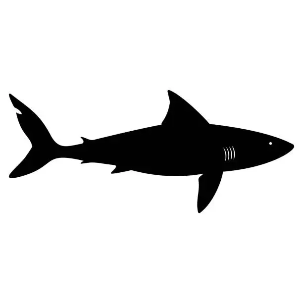 Vector illustration of Shark icon.