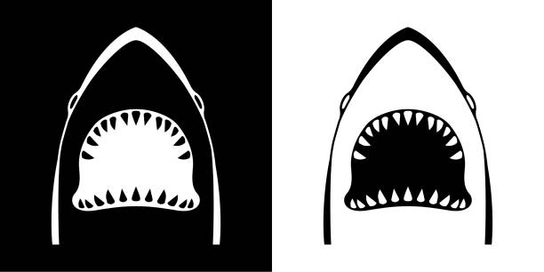 Shark icon with wide open mouth. Vector illustration in HD very easy to make edits. shark stock illustrations