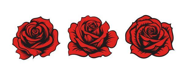 Collection of rose old-fashioned tattoo style illustration.
