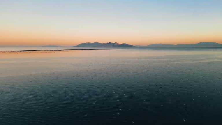 Cinematic aerial dolly over Great Salt Lake to antelope island as seagull flocks soar at sunset