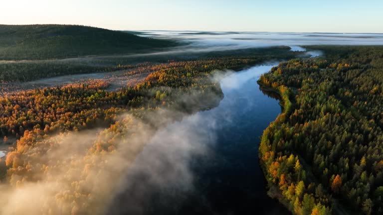 Aerial view following a river in middle of fall foliage, foggy sunrise in Lapland