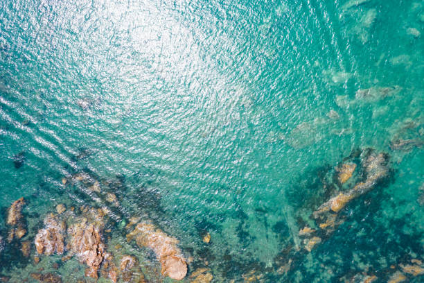istock Aerial view of reef in sea 1720735650