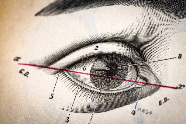 istock Antique medical scientific illustration high-resolution: Eye 1720749733