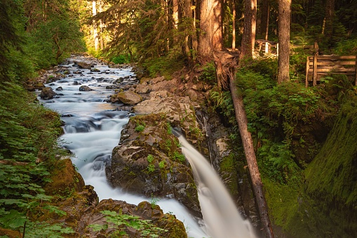 Sol Duc falls in Olympic National Park, WA.
