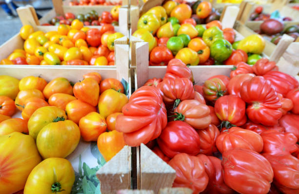 istock Close-up of many different tomato varieties at a stall, selective focus, plenty of copyspace 1720765527