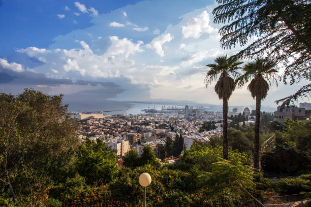 natureza incrível nos jardins bahai e paisagem urbana de haifa - horizon over land israel tree sunrise - fotografias e filmes do acervo