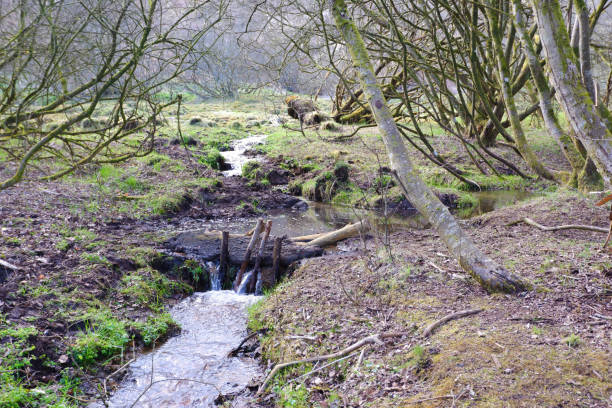 istock Creek. Creek crossing a grass area on a spring day 1720784897