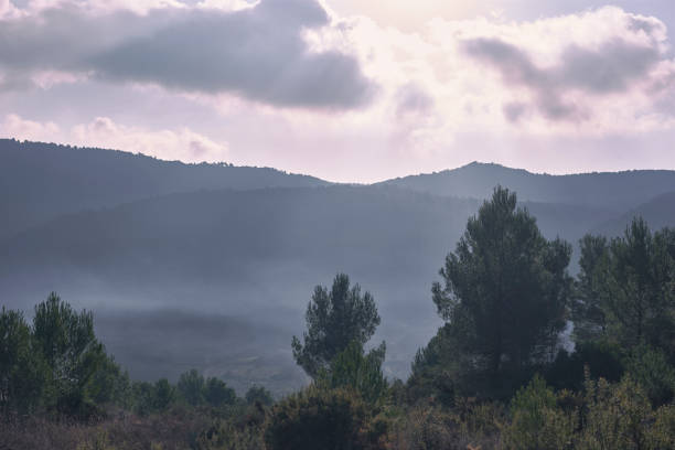 istock Mountain landscape with pine trees and misty clouds 1720787824