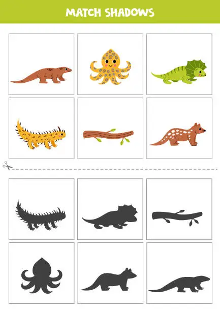 Vector illustration of Find shadows of cute Australian animals. Cards for kids.