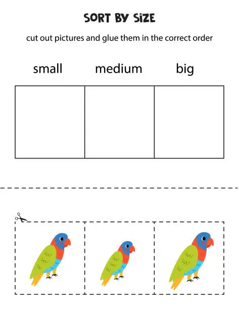 Vector illustration of Sort cute rainbow lorikeet by size. Educational worksheet for kids.