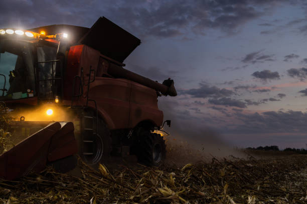 istock The combine harvests  at night 1720894406