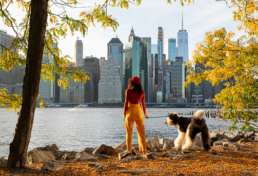 Woman walking with her sheepadoodle dog in Brooklyn Bridge Park on a sunny autumn day, Brooklyn New York