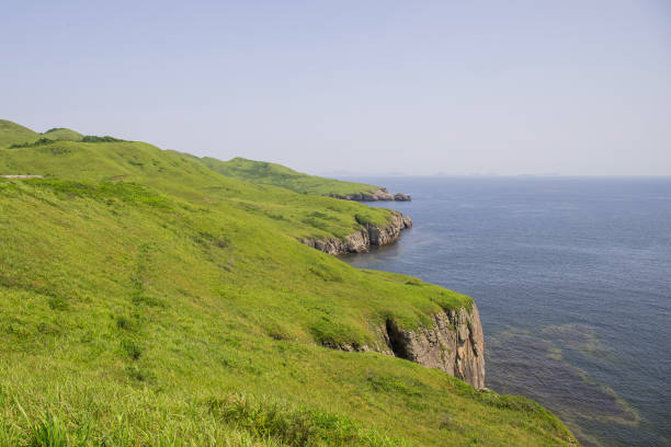 istock Summer landscape with sea coast. 1720931995