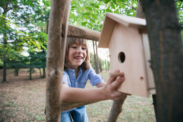 istock Happy boy hanging birdhouse on a tree 1720946658
