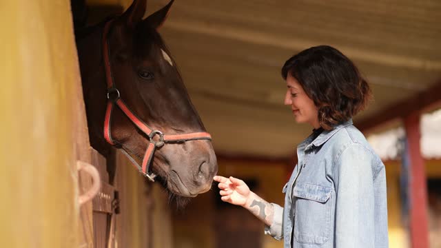 Young woman petting her horse on a stable