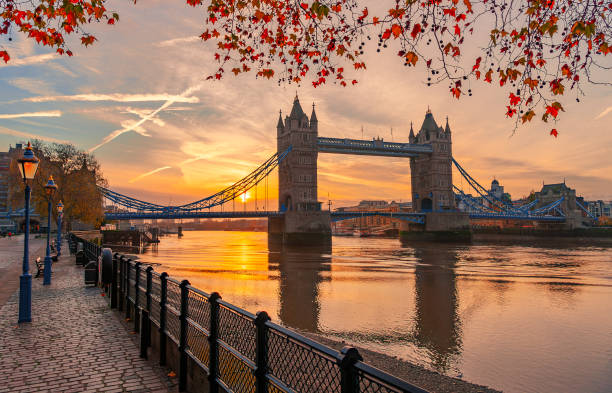 istock Tower Bridge illuminated by the sunset over the River Thames in London 1721010236