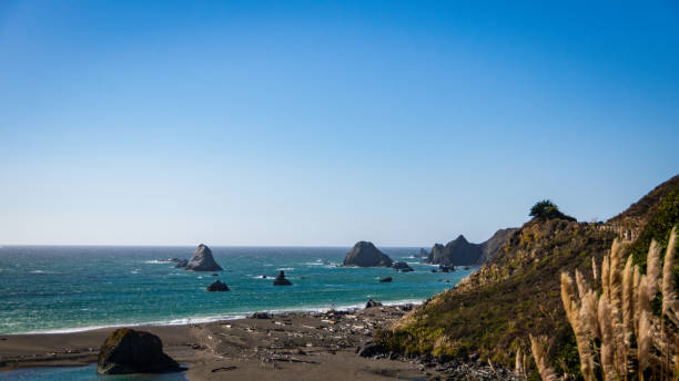 istock A Coast in North California 2 1721015764