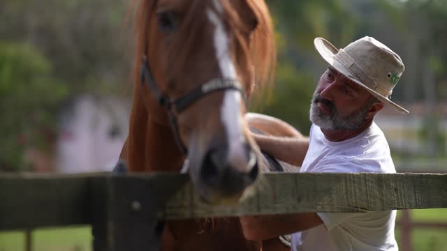 Mature man taking care of horse on a stable