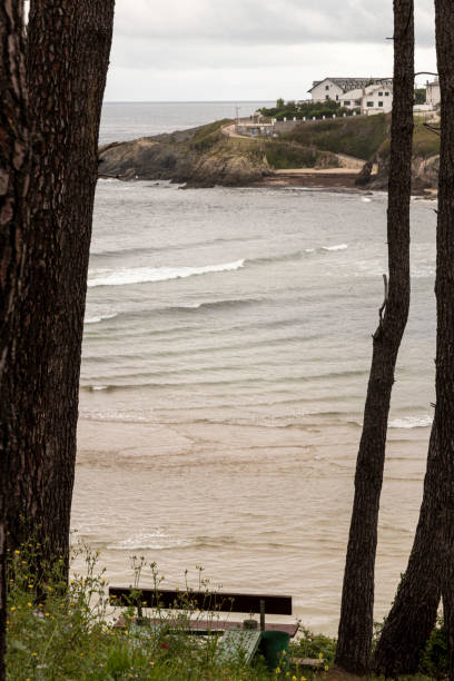 istock Serene Beach View: Between the Trees, a Bench Overlooks the Ocean and Cliff 1721024633