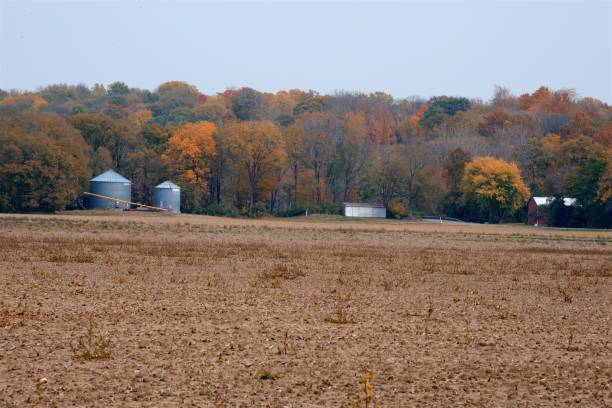istock Tippecanoe County, Indiana 1721025194