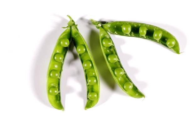 istock Two open pods of green peas on a white background. 1721045786
