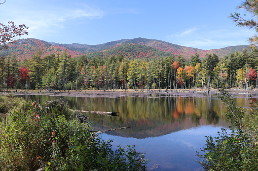 The fall colors are especially vibrant at Flume Falls near Wilmington, New York.  This photograph was taken in early October when foliage colors are near peak.\n\nThe pond is calm, providing a nice mirror effect.