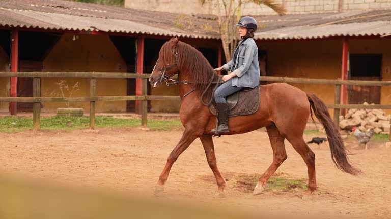 Young woman horseback riding on a stable