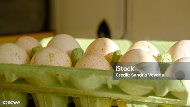 Turkey Eggs Put In A Box Organic Fresh Eggs Homemakers Market Farmers Produce For Sale Stock Photo - Download Image Now