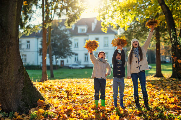 Brothers and sister are playing on sunny autumn day. They are showing off beautiful autumn leaves.\nKids are aged 10 and 7. \nShot with Nikon D800