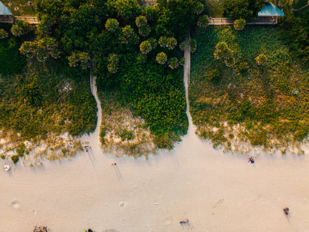 Sand Dunes - People at the Beach Top Down Waves - Chandler Park Beach - Cocoa Beach - Florida Beach - Cape Canaveral - Top Down - Vertical