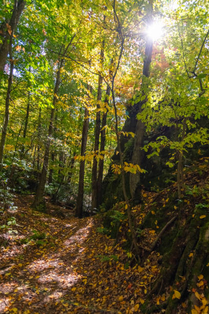 istock Rock City Park, Olean, NY, gigantic rock formations 1721160179