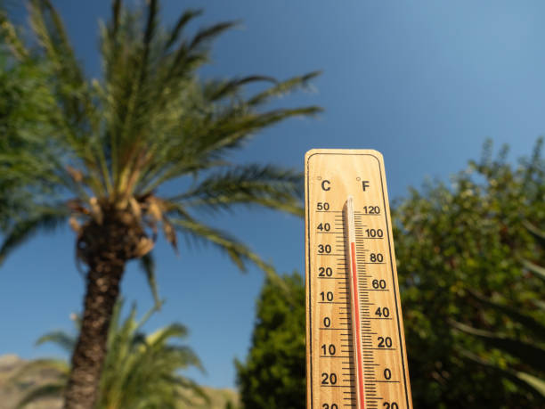 istock Wooden thermometer showing high temperatures on sunny day. 1721181233