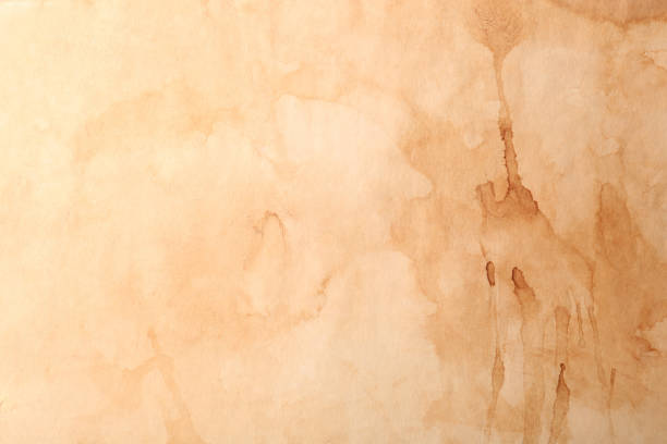 istock Sheet of old parchment paper as background, top view 1721186739