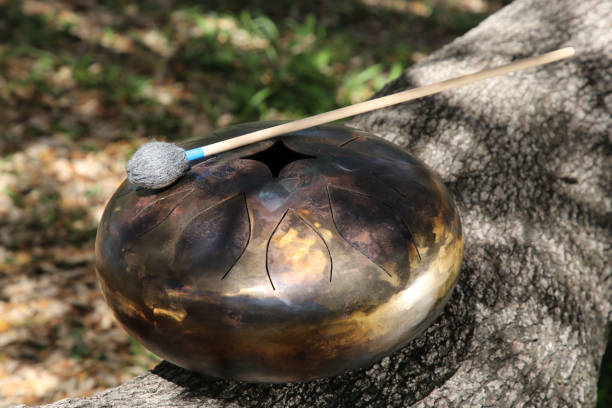 istock Steel tongue drum with mallet on tree bark outdoors. Percussion musical instrument 1721187796