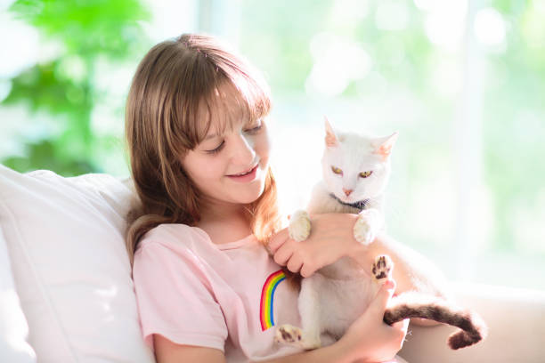 istock Child playing with kitten. Cat and kid at home. 1721192076