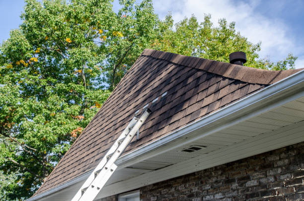 istock Ladder standing on asphalt shingle roof 1721212188