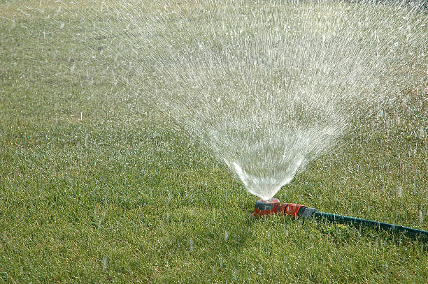 Lawn Sprinkler stock photo