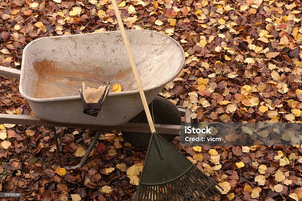 L'automne nettoyage - Photo de Automne libre de droits