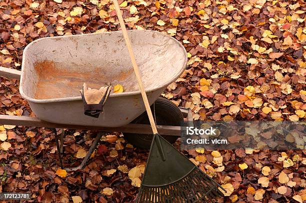 Autunno Di Pulizia - Fotografie stock e altre immagini di Autunno - Autunno, Carriola, Arancione