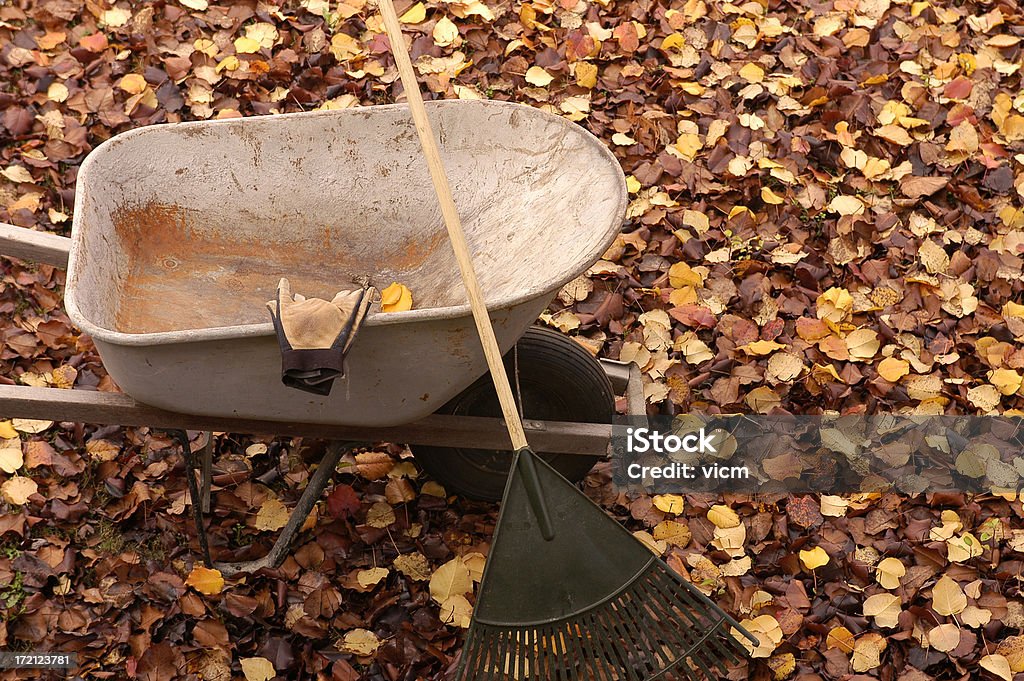 Fall Clean up Wheelbarrow and rake on fall leaves Autumn Stock Photo