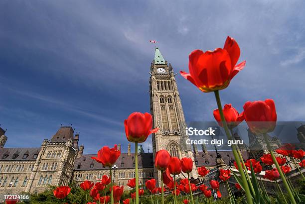 Foto de Canadá Parliment Edifícios e mais fotos de stock de Canadá - Canadá, Ottawa, Tulipa - Família do Lírio