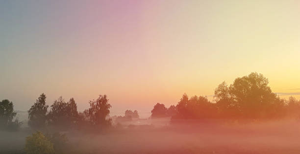 istock misty dawn on the background of trees 1721242551